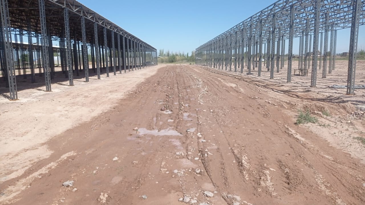 Construcción de caminos para asfalto en caliente entre galpones feria Bombal