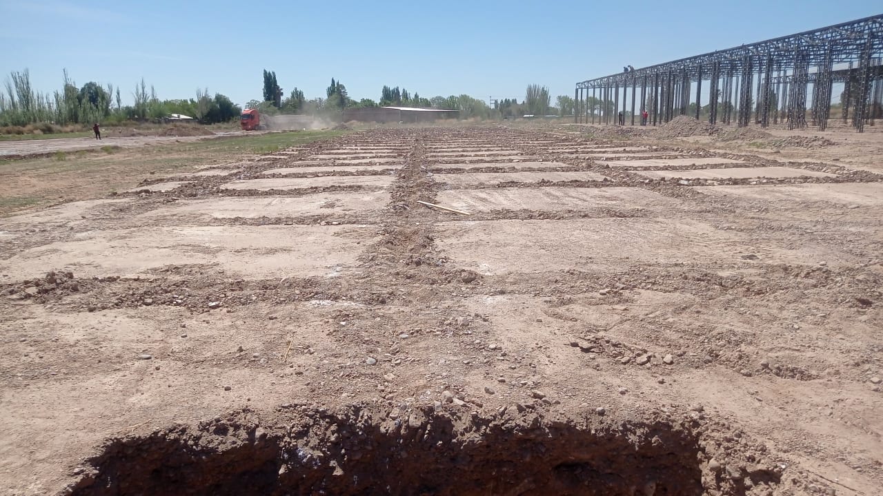 Conformación de plateas para galpones de feria Colonia Bombal
