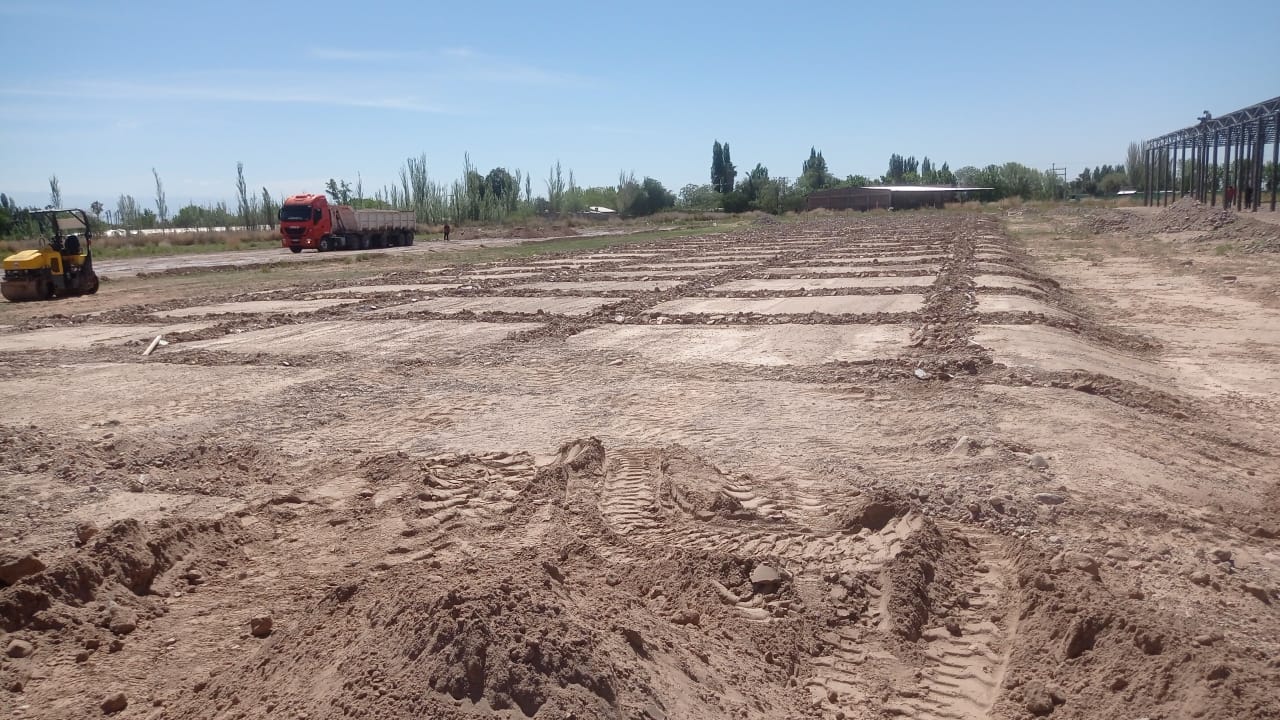 Conformación de plateas para galpones de feria Colonia Bombal